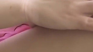 Gabriella Romano the Pig Gets Milk