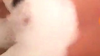 Amateur striptease and Solo masturbation