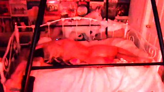 Busty amateur girlfriend group sex with facials