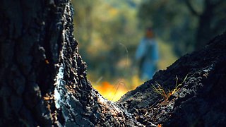 Monster Porn - Trouble In The Woods Pt.2