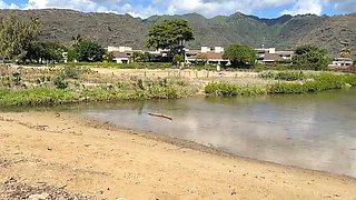 Mature British MILF gets naughty outdoors at Paiko Fishpond in East Oahu, Hawaii