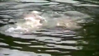 Trio In Nature For A Beautiful Blonde