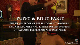 Kitty & Puppy Party