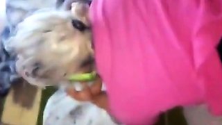 Culeando con mi Esposa Latina - Doggy Style Amateur