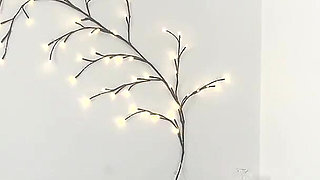 Homemade Interracial Creampie