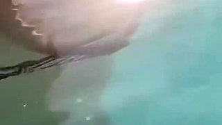Artemisia Love Flashing Her Juicy Big Tits at the Pool