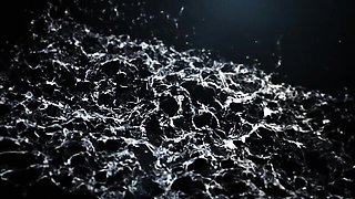 Nice Ana's euro porn