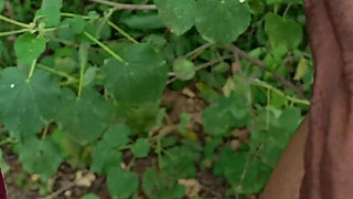 School Girl Outdoor Fucking with Uniform