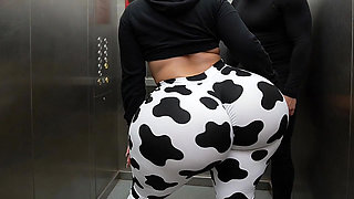Big Ass Cousin in Cow Print Leggings Teasing Me
