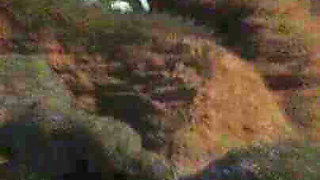 Treasure of Nadia_pc-v.06112 Part 7 by Loveskysan69