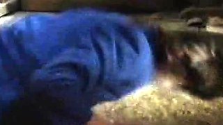 Die Rammelkiste -Love Video-