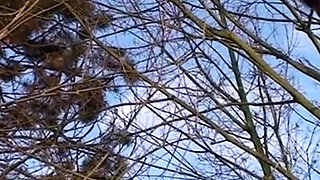 Mature woman having fun outside