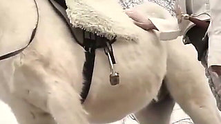 English Version of the Porn Parody Don Quixxxote, with Hairy Pussies and Anal Sex to Enjoy