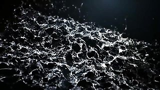 Sultry Vinna and Claudia's czech movie