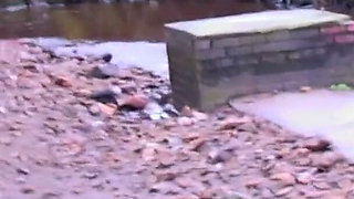 Cum Slut Wife Amy Johnson Sucks off Her Husband in the Woods