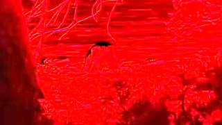 Titus Steel In Crazy Dirty Sex In A Wild Beach