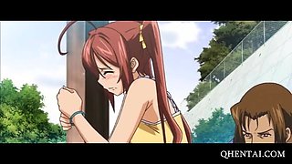 Anime teen picked up in a train and fucked