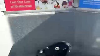 Heavenly Lena's big tits xxx