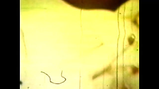 American Vintage Porn Video with a Big Black Cock Fucking a White Pussy