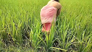 I Cleared the Grass in the Paddy Field, Made Some Space, and Peeing