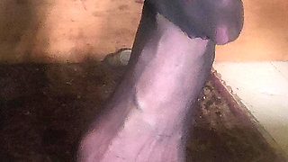 Goode Girl Black Pantyhose Foot Worship POV JOI