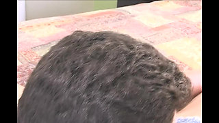 Vulgar Capricious Pig