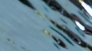 Flashing My Dick in Front of a Girl in Public Swimming Pool and Fucks Me - It's Very Risky with People Near - Misscreamy