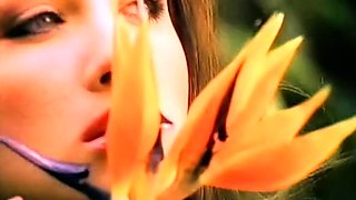 Artfull Classic Porn Movie