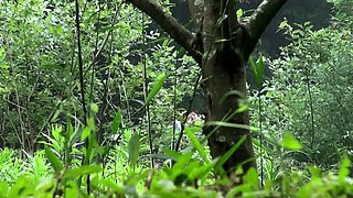 Outdoor handjob on beach with cumshot