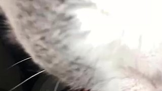 Heidi-Lee Bocanegra Naked Black Outfit Swing OnlyFans