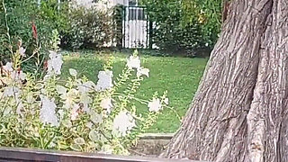 Amateur Blonde Mature Wife Enjoys Sex After Walk