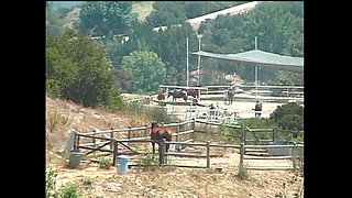 Ready for the Fuck of the Day