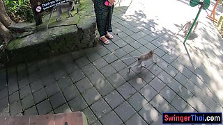 Monkey business and couple intercourse at home