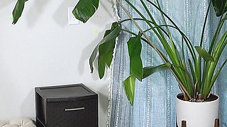 Jena La Rose & Dee Williams - Arched and Owned: Jenna’s Erotic Downfall