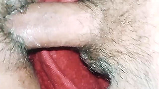 Kamla bhabhi ki gand mari