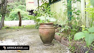 Mademoiselle's ebony scene