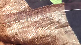 Hot indian bhabhi sex with her old college friend and give him great blowjob.