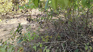 Hot Girlfriend with Wet Pussy and Lots of Orgasms. Loud Groans. Dirty Talk