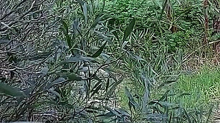 Granny Looks for a Lover Nacked in the Woods