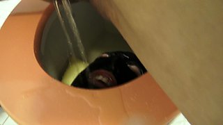 toilet slave training