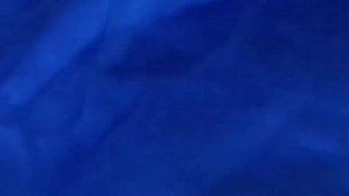 Impregnating Chun-li