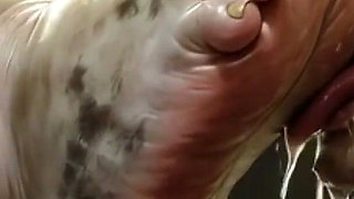 Giantess Massive SSBBW Foot Worship - Male Slave Licking Her Big Feet