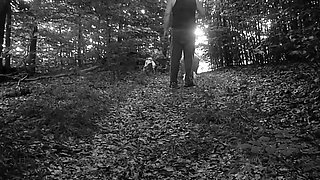 Pet Girl Obedience Training