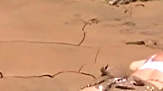 Julie Cunningham in Lingerie Wriggles Hard in Mud Hogtied with Chains. Sploshing Dirty Whore. Huge Tits Covered in Mud.