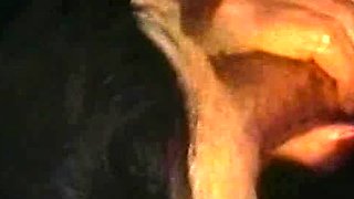 Big Boobed Brunette MILFs Make The Best Hardcore Hoes