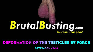 Testicular Deformation! His Balls Have No Chance of Challenging Her Power - Dave Moon - Mia - Bbusting (ballbusting)