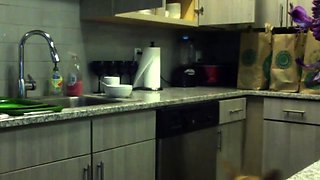 Close up anal and dildo pussy masturbation