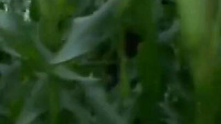 Humiliating whipping and pussy penetrated I the forest
