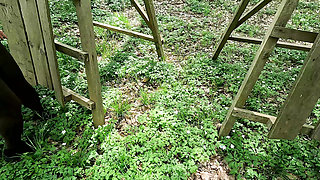 Red tits on the Trimmdich Platz