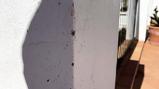 Small titted babe Jessie Andrews i